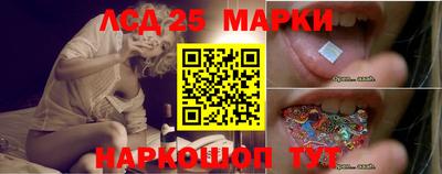 крисы Нальчик