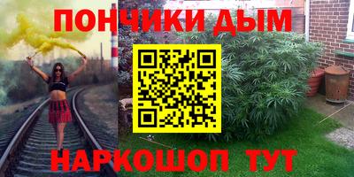 крисы Нальчик