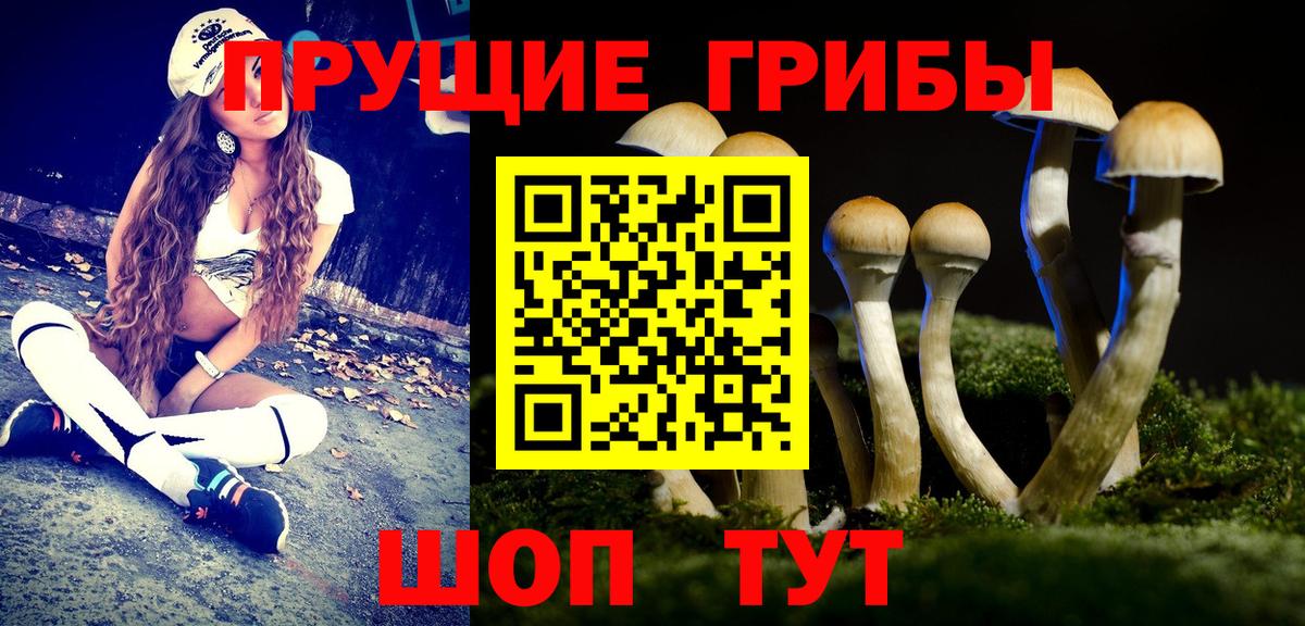 Псилоцибиновые грибы GOLDEN TEACHER  Вход с VPN  Галлюциногенные грибы GOLDEN TEACHER  Бахчисарай 
